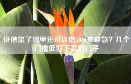 征信黑了哪里还可以借5000来应急？几个门槛低好下款的口子