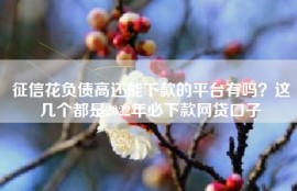 征信花负债高还能下款的平台有吗？这几个都是2022年必下款网贷口子