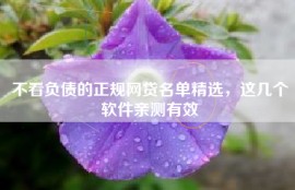 不看负债的正规网贷名单精选，这几个软件亲测有效