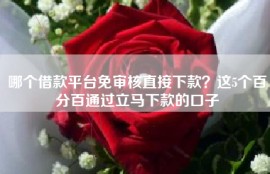哪个借款平台免审核直接下款？这5个百分百通过立马下款的口子