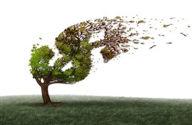 哪些口子不审核直接放款1万？推荐五个口子不审核直接放款