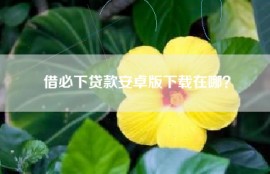 借必下贷款安卓版下载在哪？