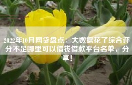 2022年10月网贷盘点：大数据花了综合评分不足哪里可以借钱借款平台名单，分享！