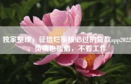 独家整理，征信烂审核必过的贷款app2022，负债也能借，不看工作