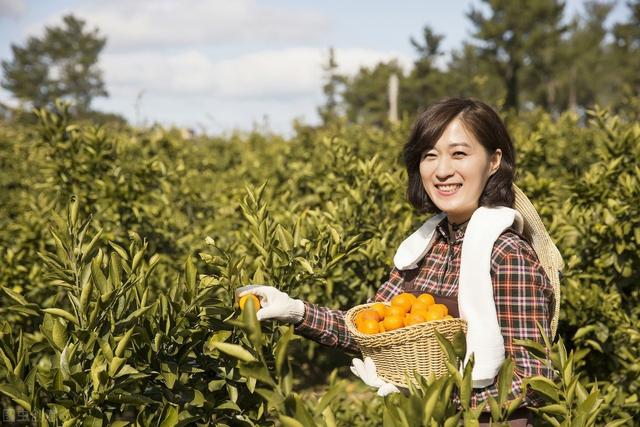 2020年，农民到银行借贷很方便，满足6点就行，方式有4种