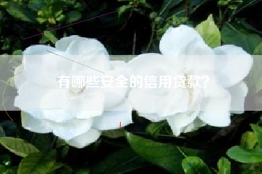 有哪些安全的信用贷款？