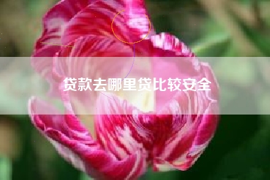 贷款去哪里贷比较安全