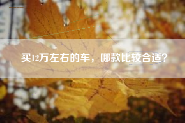 买12万左右的车，哪款比较合适？