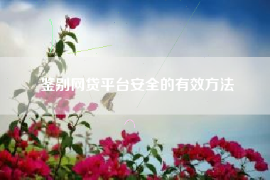 鉴别网贷平台安全的有效方法