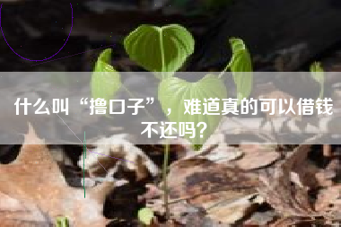 什么叫“撸口子”，难道真的可以借钱不还吗？