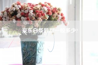 京东白条额度一般多少?
