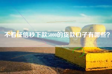 不看征信秒下款5000的贷款口子有哪些？