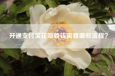 开通支付宝花呗收钱需要哪些流程？