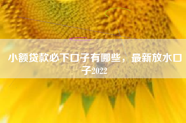小额贷款必下口子有哪些，最新放水口子2022