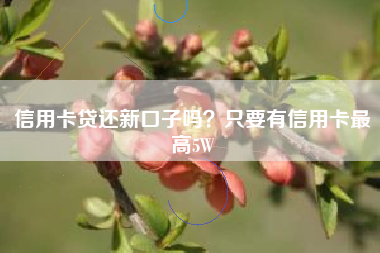 信用卡贷还新口子吗？只要有信用卡最高5W