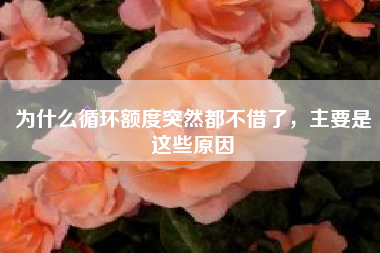 为什么循环额度突然都不借了，主要是这些原因