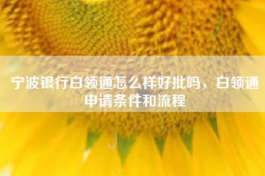 宁波银行白领通怎么样好批吗，白领通申请条件和流程
