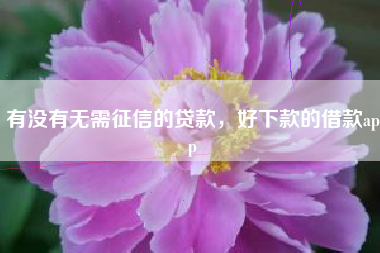 有没有无需征信的贷款，好下款的借款app