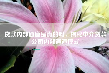 贷款内部通道是真的吗，揭秘中介贷款公司内部通道模式