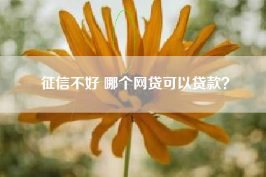 征信不好 哪个网贷可以贷款？