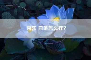 京东 白条怎么样？