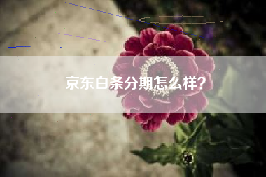 京东白条分期怎么样？