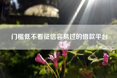 门槛低不看征信容易过的借款平台