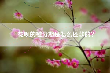 花呗的橙分期是怎么还款的？