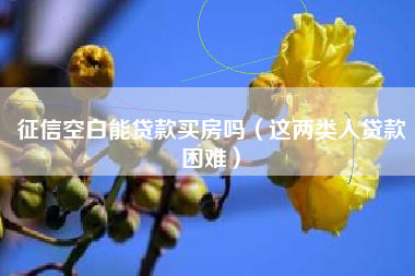征信空白能贷款买房吗（这两类人贷款困难）