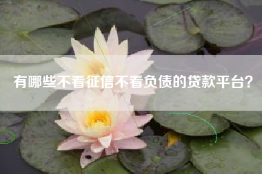有哪些不看征信不看负债的贷款平台？
