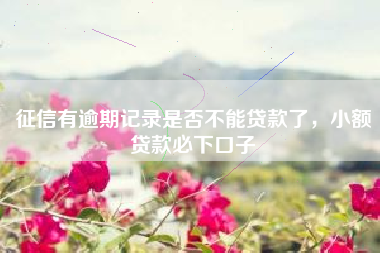 征信有逾期记录是否不能贷款了，小额贷款必下口子