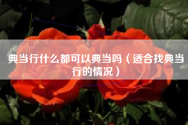 典当行什么都可以典当吗（适合找典当行的情况）