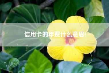 信用卡的年费什么意思?