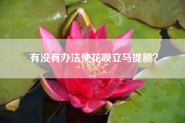有没有办法使花呗立马提额？