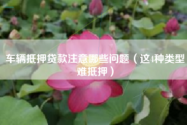 车辆抵押贷款注意哪些问题（这4种类型难抵押）
