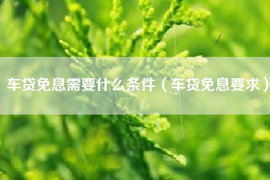 车贷免息需要什么条件（车贷免息要求）