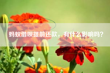 蚂蚁借呗提前还款，有什么影响吗？