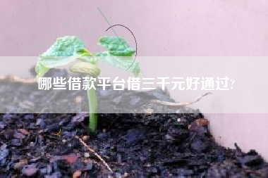 哪些借款平台借三千元好通过?