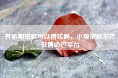 有逾期贷款可以借钱吗，小额贷款不查征信必过平台