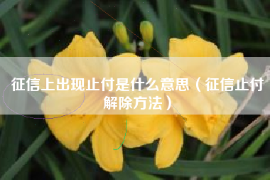 征信上出现止付是什么意思（征信止付解除方法）