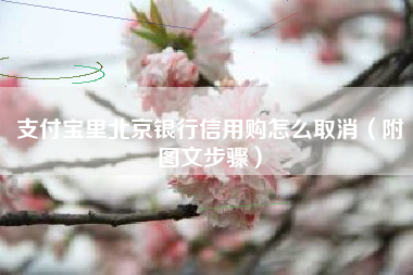 支付宝里北京银行信用购怎么取消（附图文步骤）
