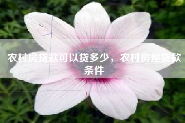 农村房贷款可以贷多少，农村房屋贷款条件