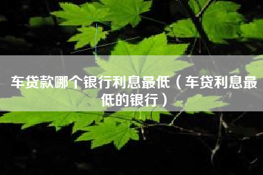 车贷款哪个银行利息最低（车贷利息最低的银行）