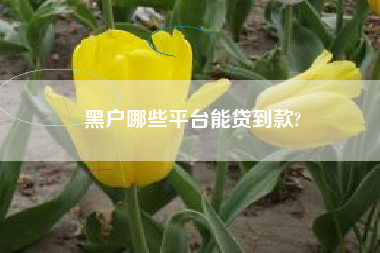 黑户哪些平台能贷到款?