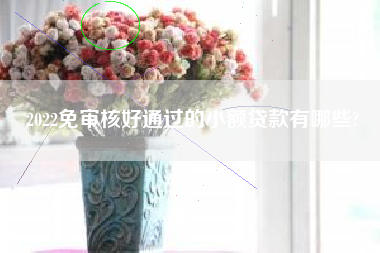 2022免审核好通过的小额贷款有哪些?