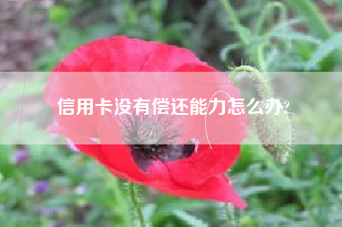 信用卡没有偿还能力怎么办?
