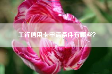 工行信用卡申请条件有哪些？
