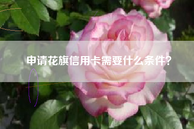 申请花旗信用卡需要什么条件？