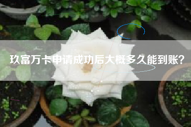 玖富万卡申请成功后大概多久能到账？