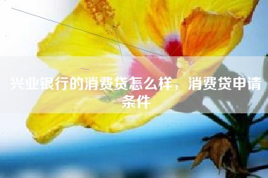 兴业银行的消费贷怎么样，消费贷申请条件